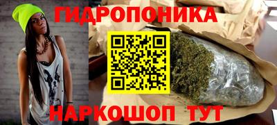 apvp Можга