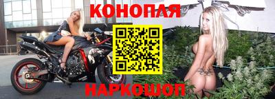 apvp Можга