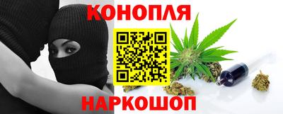Альфа ПВП Моздок