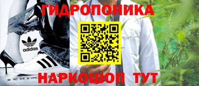 Альфа ПВП Моздок
