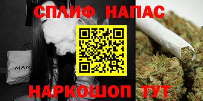 apvp Можга