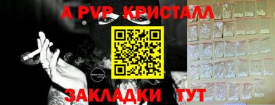 apvp Можга
