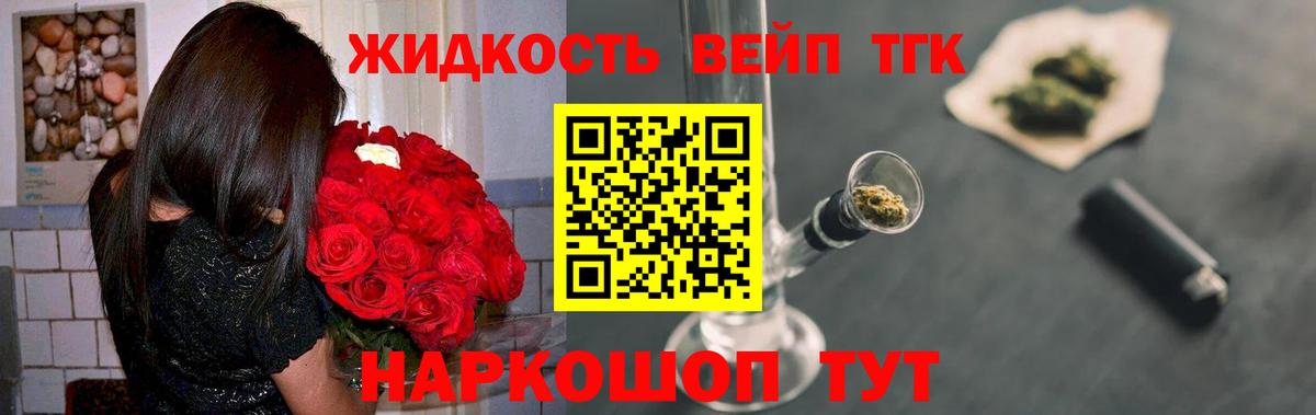 Димитровград  ТГК жижа  Вход с VPN 