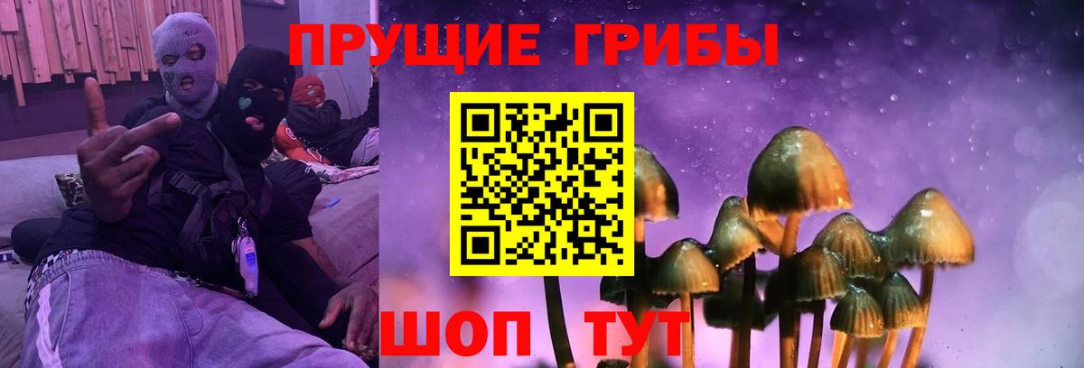 Галлюциногенные грибы GOLDEN TEACHER  Вход с VPN  Галлюциногенные грибы Psilocybe  Димитровград 